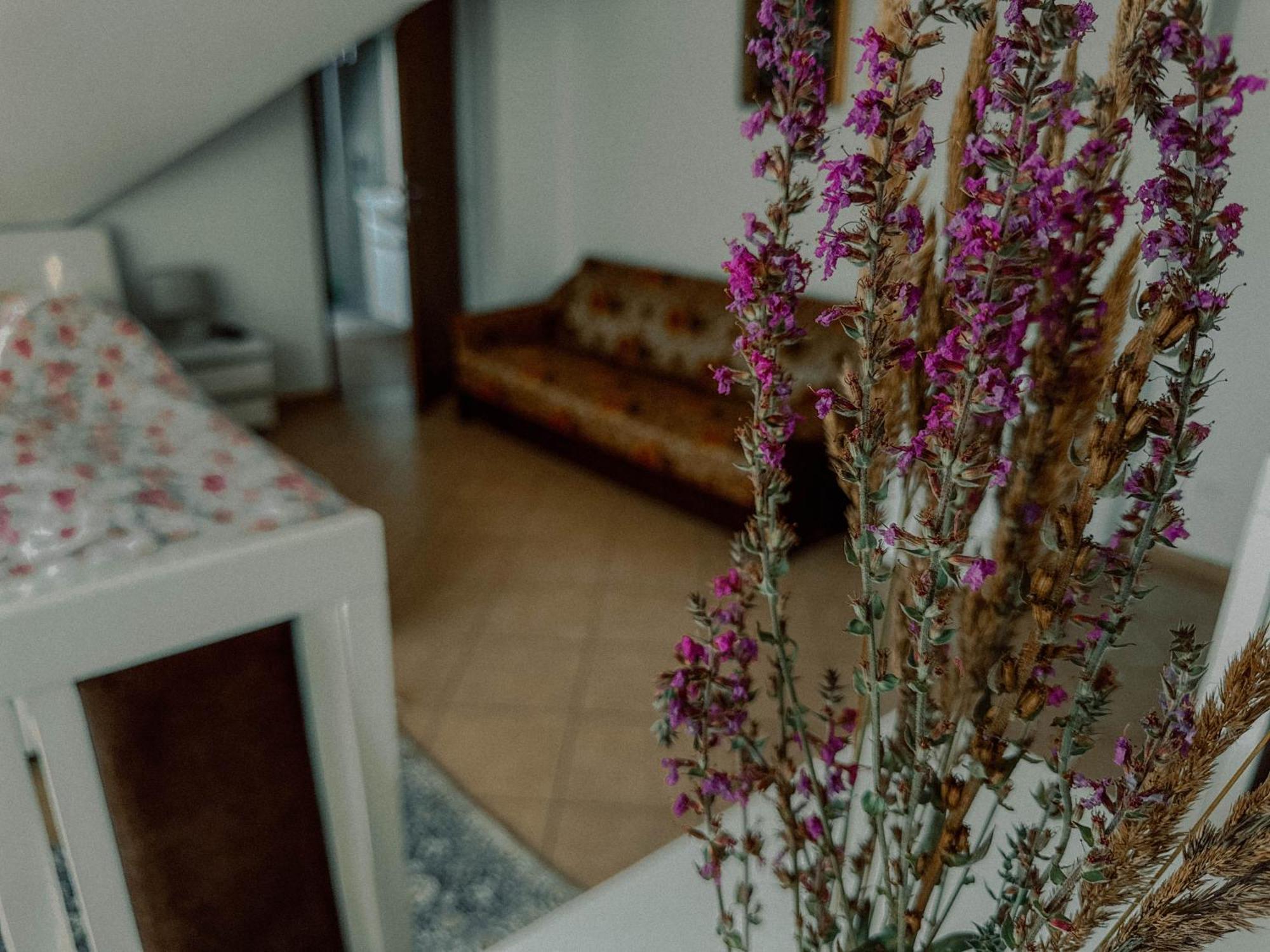 Boho Przystan Apartment Lazy  Luaran gambar